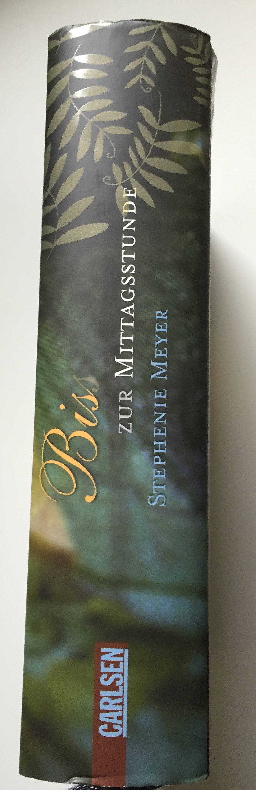 Biss zur Mittagsstunde - Gebundene Ausgabe