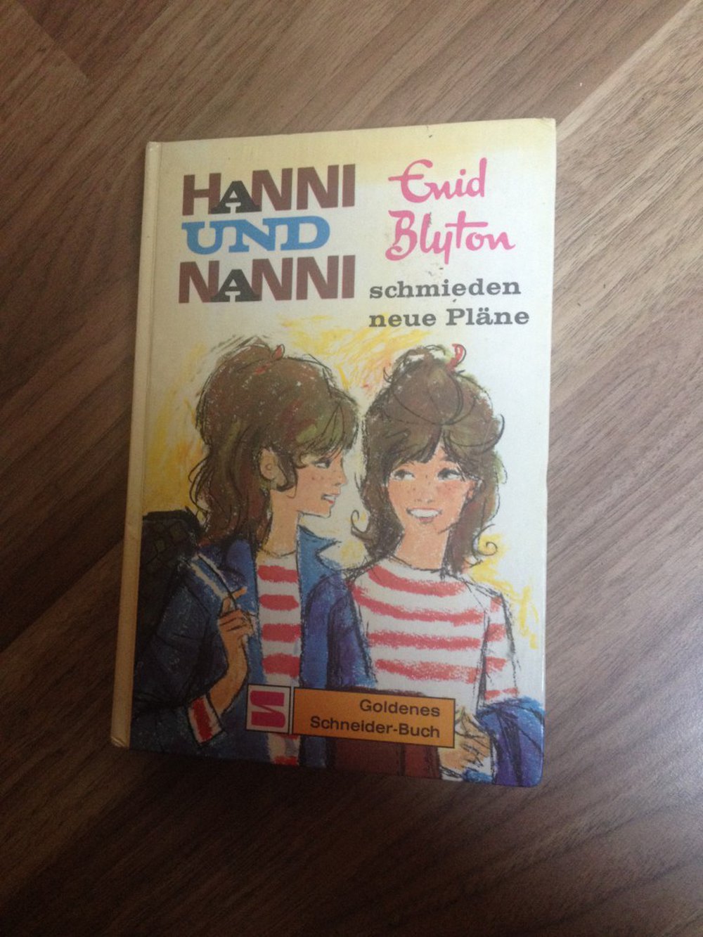 Hanni und Nanni schmieden neue Pläne