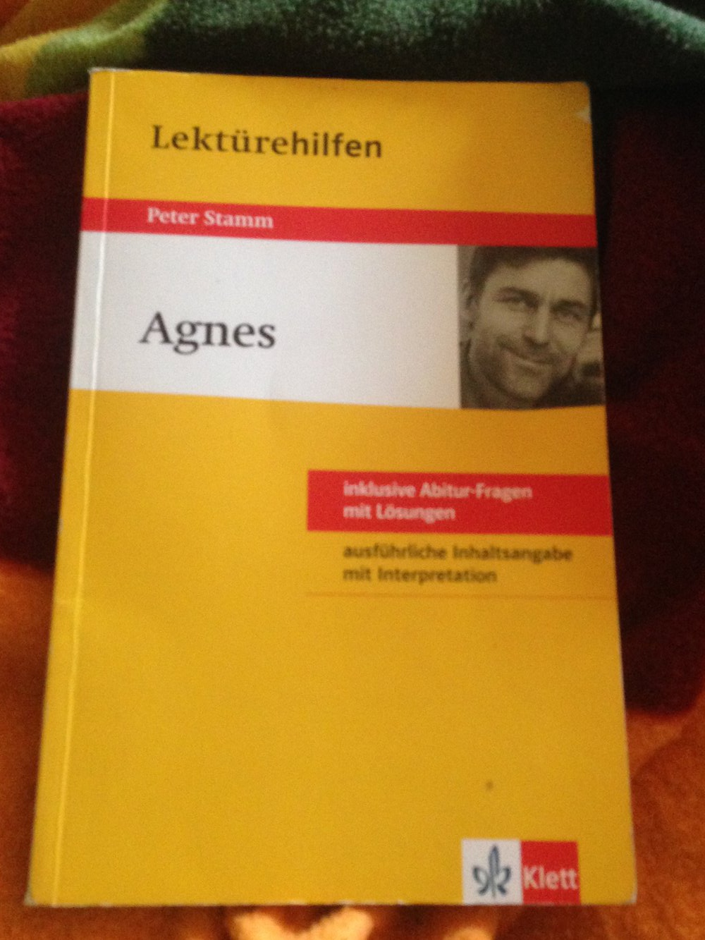 Agnes. Klett Lektürehilfe