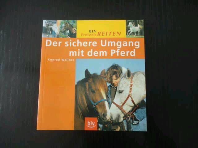 Viele Bücher für Leseanfänger oder Fortgeschrittene Leseratten 
