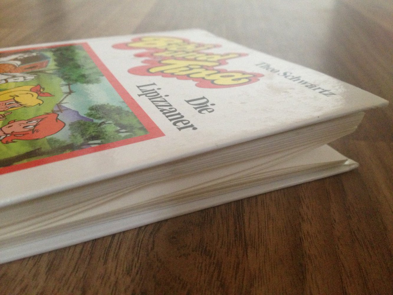 Bibi und Tina – Die Lipizzaner