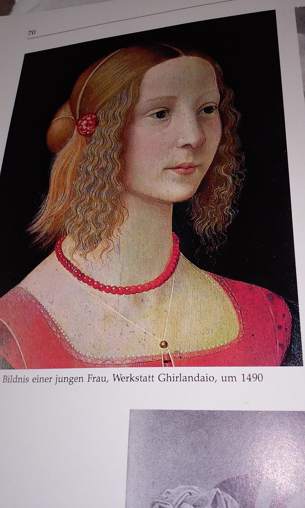 Die Frisur. Eine Kulturgeschichte der Haarmode von der Antike bis zur Gegenwart  inkl. Techniken  Fachbuch