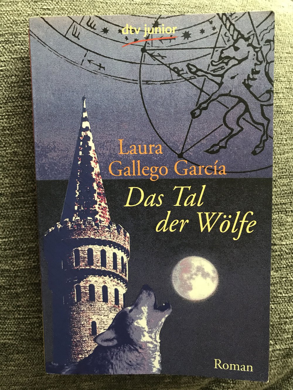 Laura Gallego Garcia: Das Tal der Wölfe 