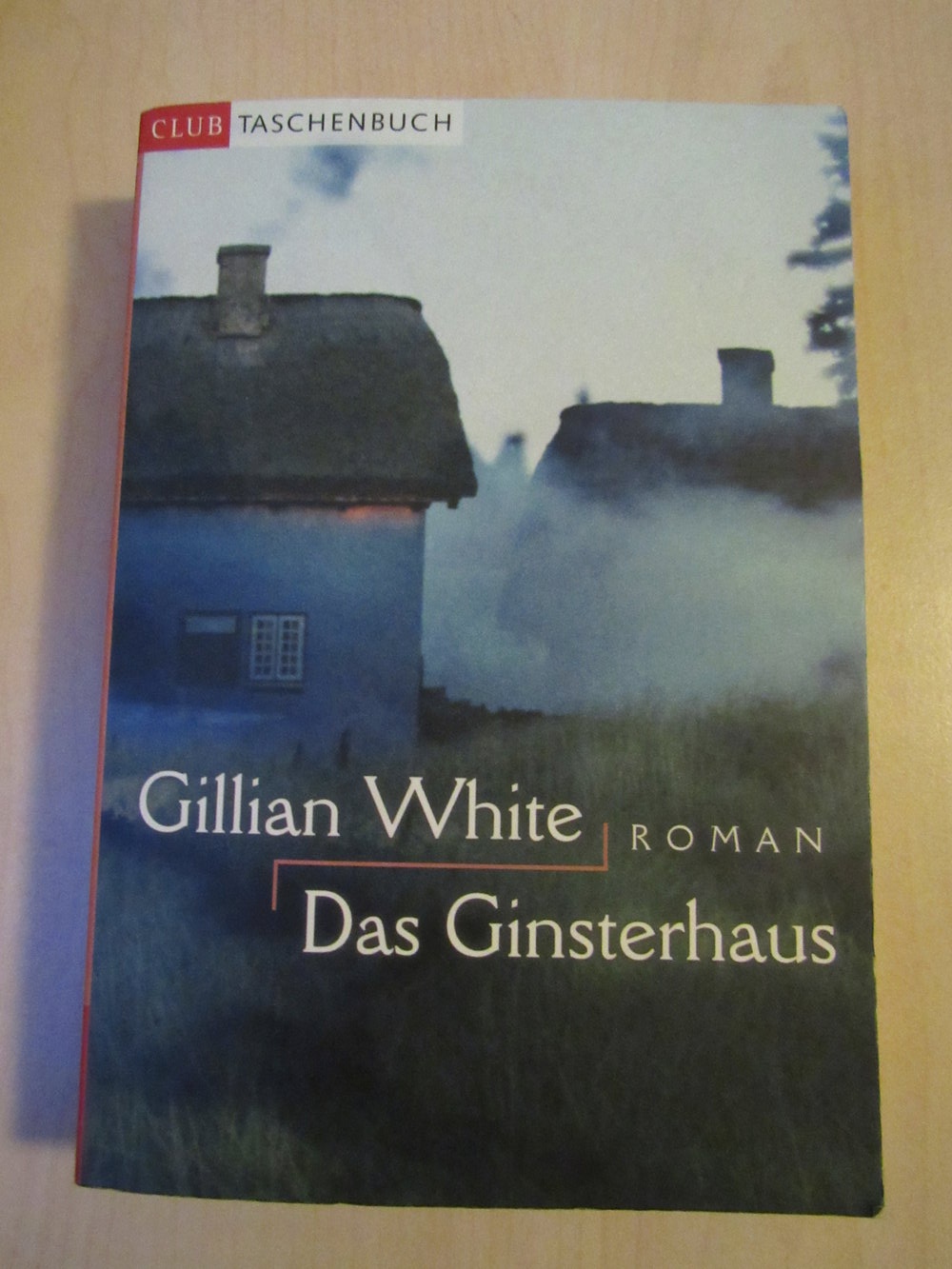 Das Geisterhaus - Roman