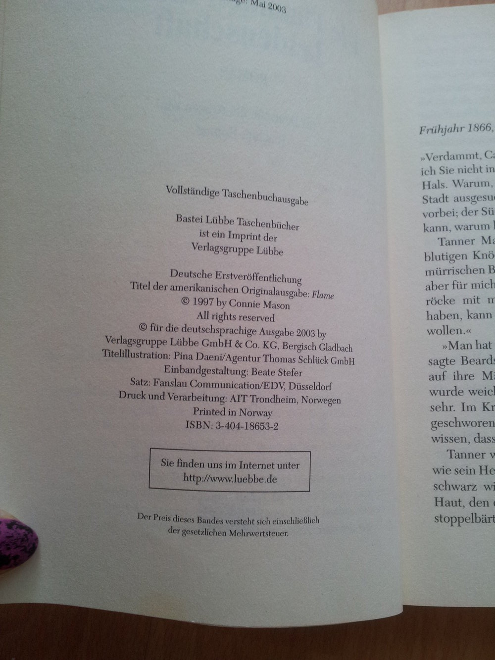  Buch - Die Flammen meiner Leidemschaft - Connie Mason 