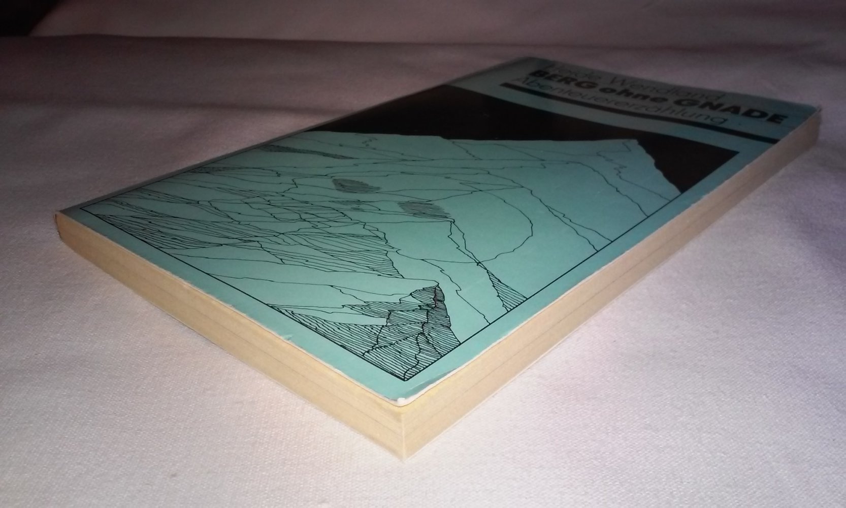 Berg ohne Gnade - Abenteuererzählung auf Tatsachen basierend Heide Wendland