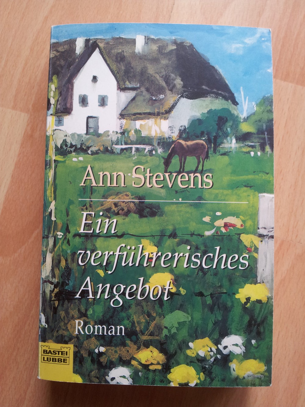 Ein verführerisches Angebot - Ann Stevens 