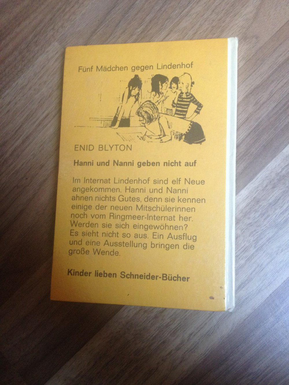 Hanni und Nanni geben nicht auf