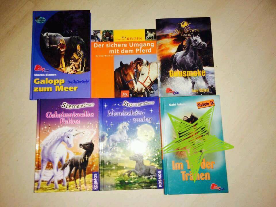 Viele Bücher für Leseanfänger oder Fortgeschrittene Leseratten 