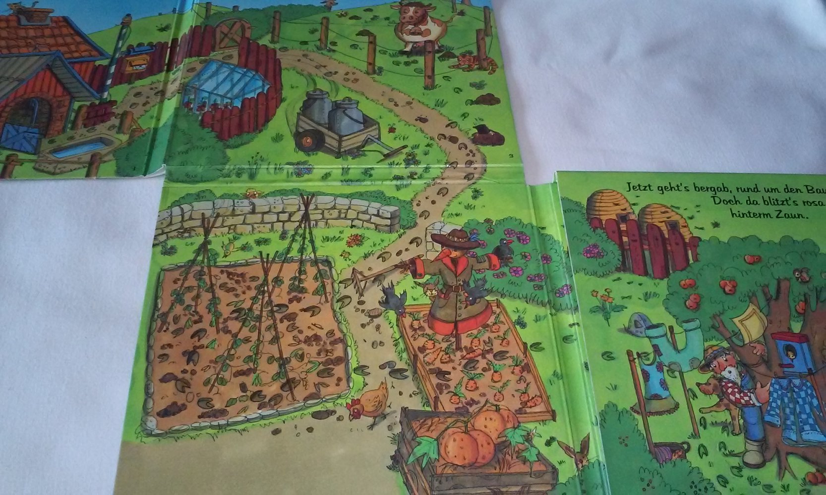 Rosalie das Schwein ist weg! Kinderbuch/Pappbilderbuch