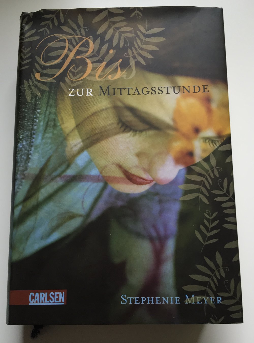 Biss zur Mittagsstunde - Gebundene Ausgabe