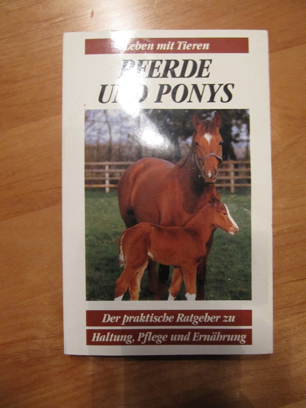 Pferde und Ponys Tierratgeber