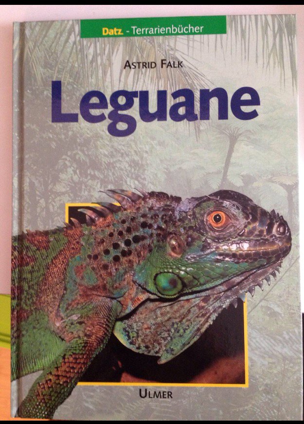 Datz Terrarienbücher Leguane neu 