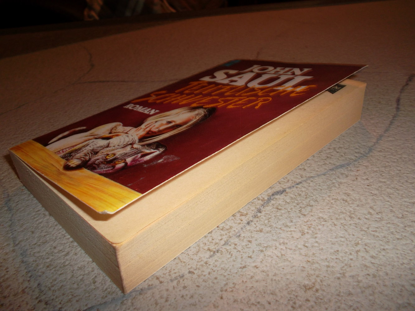 buch,john saul,teuflische schwestern