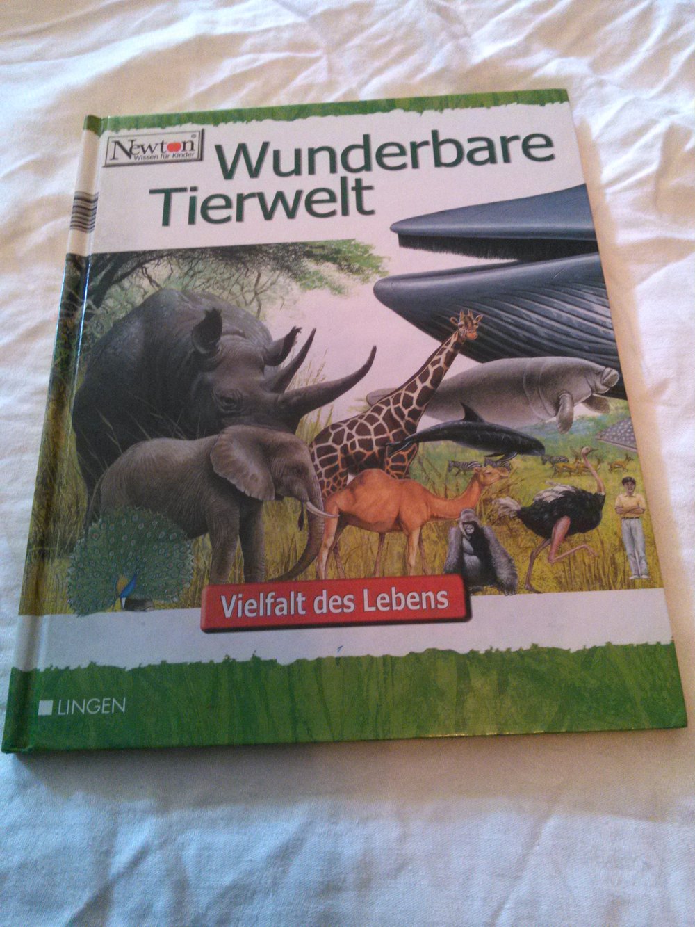 Tolles Wissensbuch ; Wunderbare Tierwelt ( grün ) ; Lingen