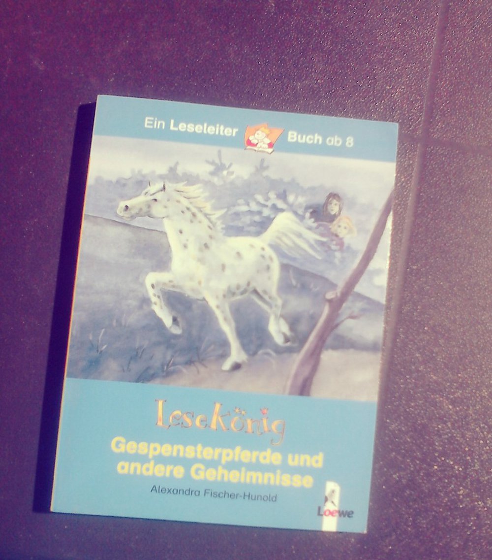 Lesekönig – Gespensterpferde und andere Geheimnisse
