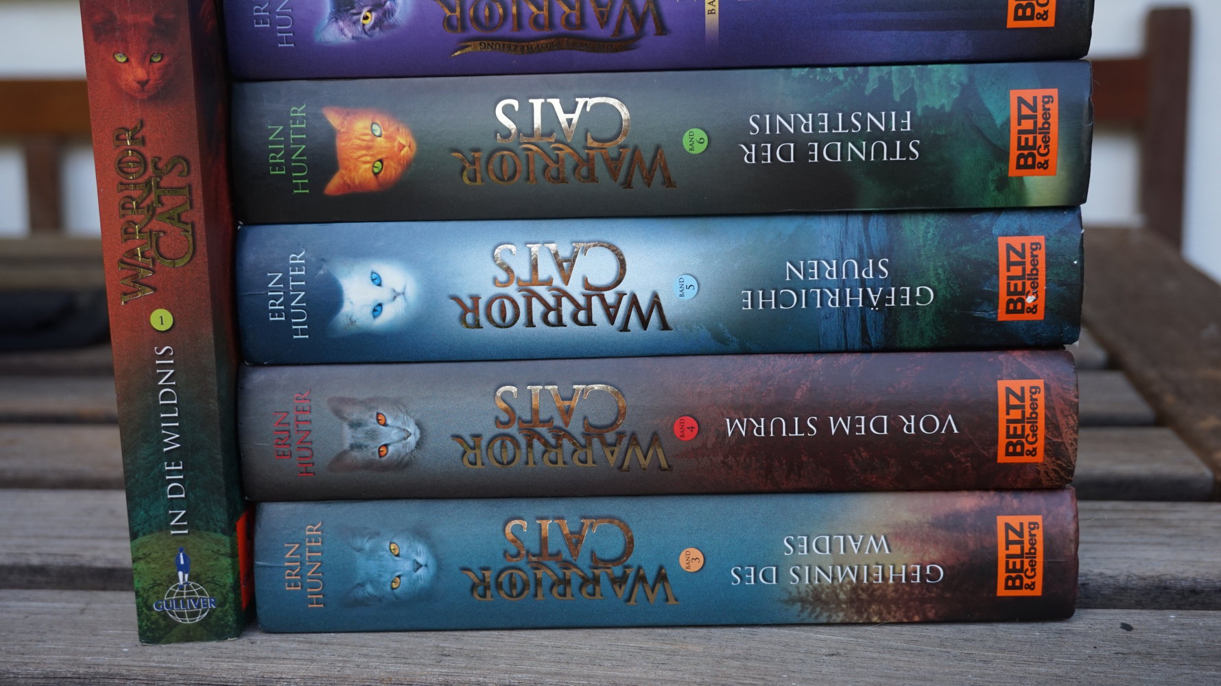 WarriorCats Staffel 1 komplett! (6 Bände)