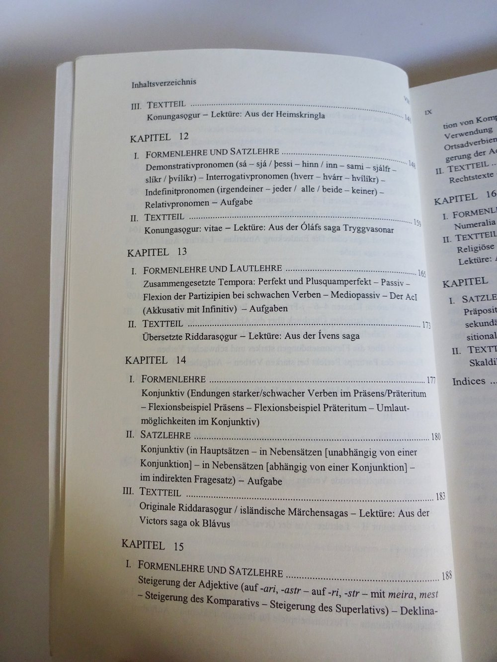 Einführung in das Altisländische 