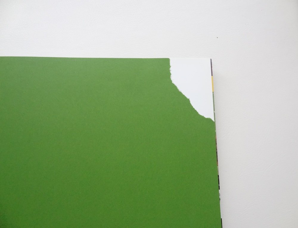 Die Teufelkicker Das große Fußballbuch Uefa Euro 2008