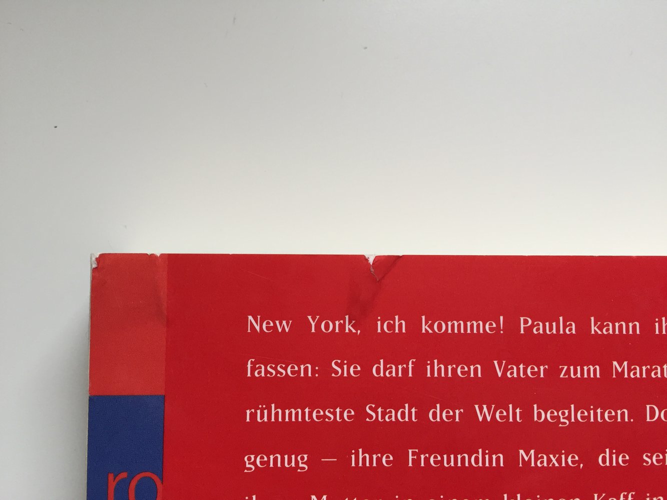 Paulas New York Buch