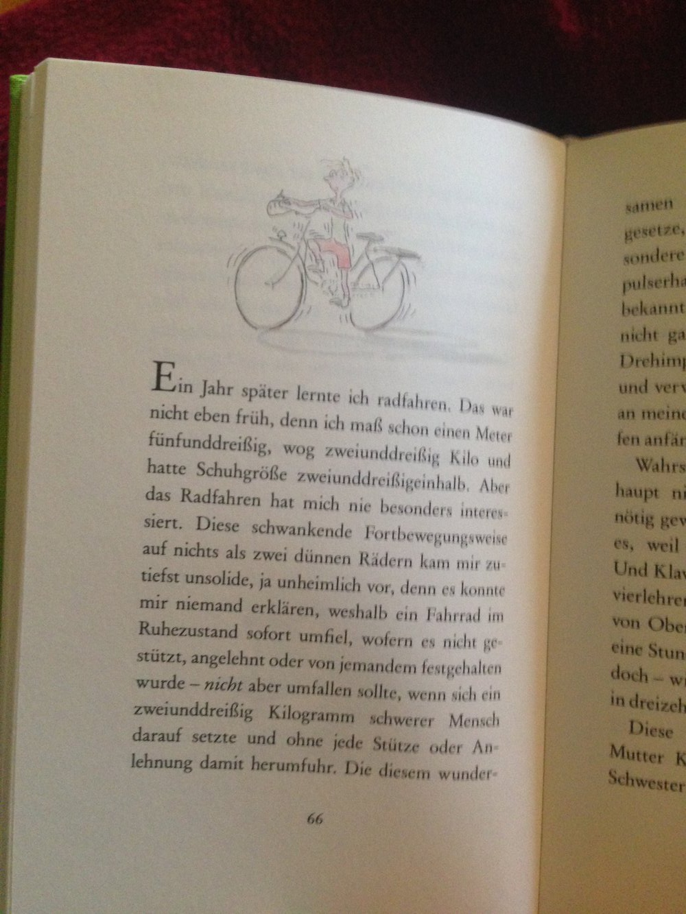 Die Geschichte von Herrn Sommer