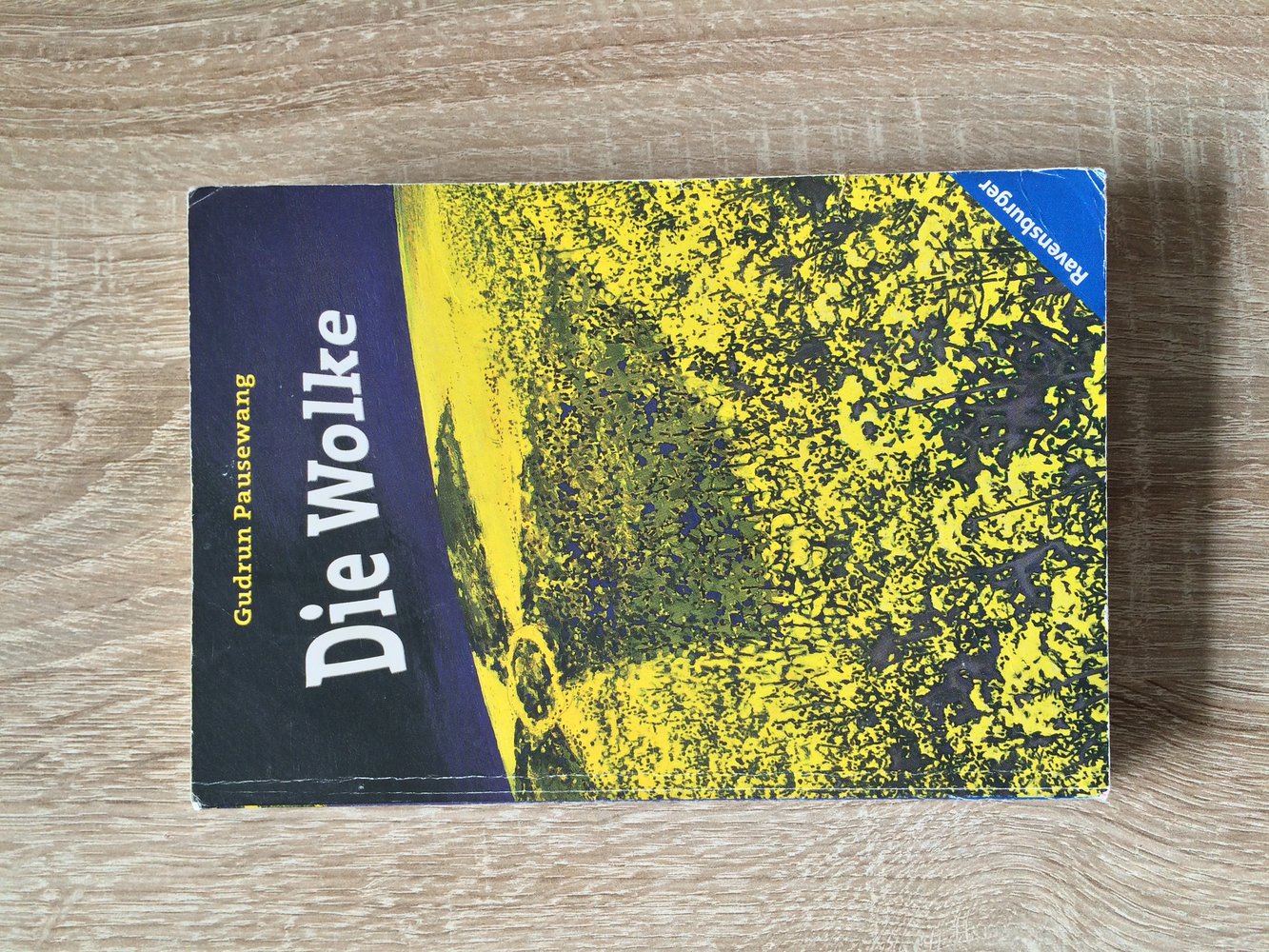 Die Wolke - Gudrun Pausewang