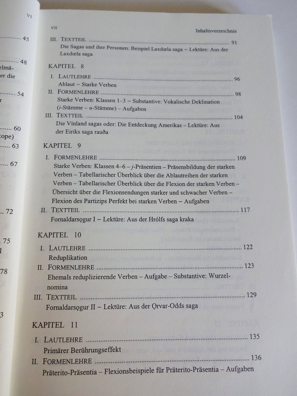 Einführung in das Altisländische 