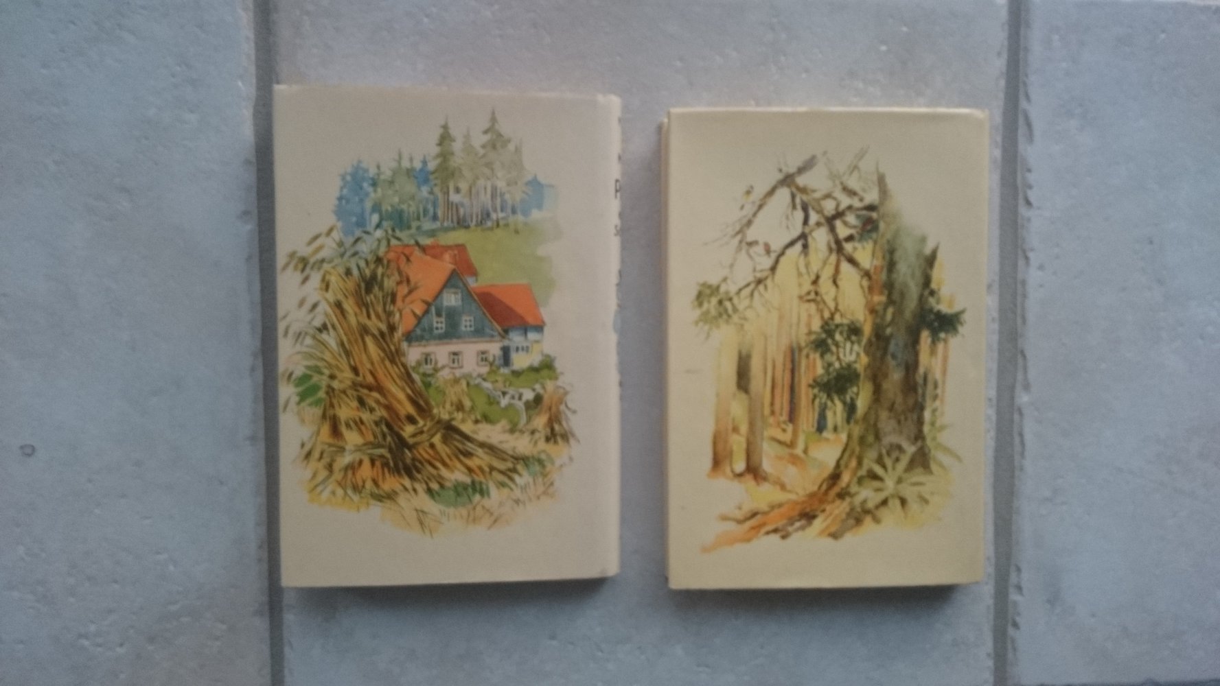 Pucki und ihre Freunde & Puckis erster Schuljahr von Magda Trott