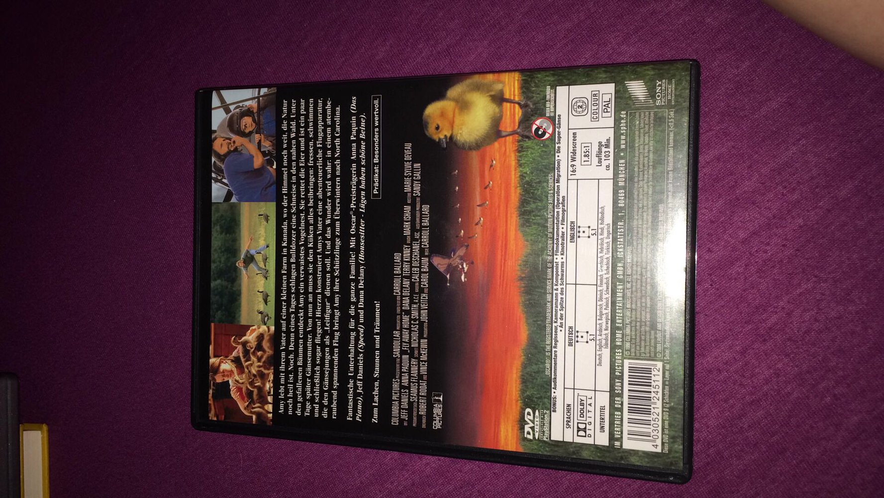 Amy und die Wildgänse dvd 