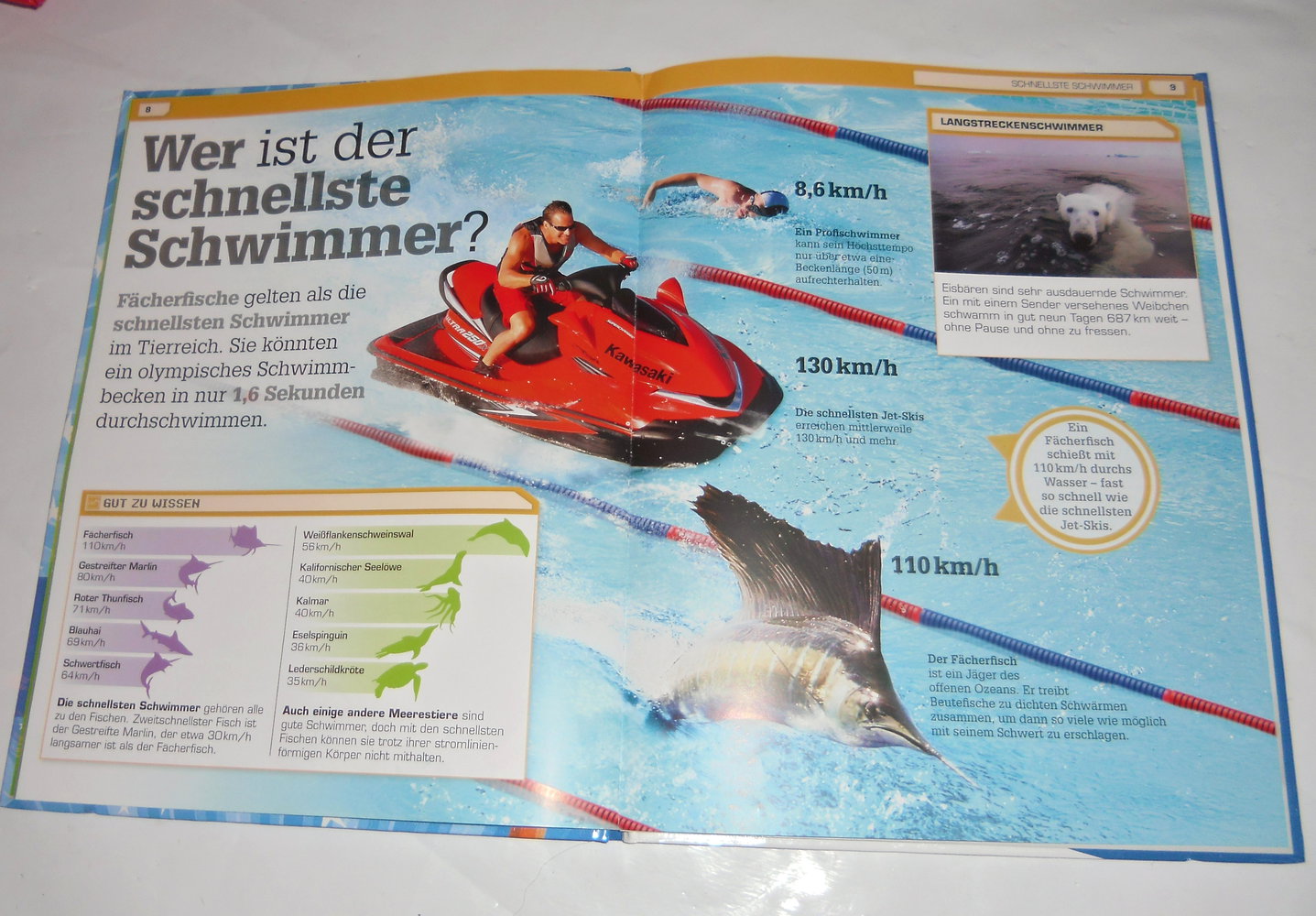 Tierische Rekorde- tolles Buch,