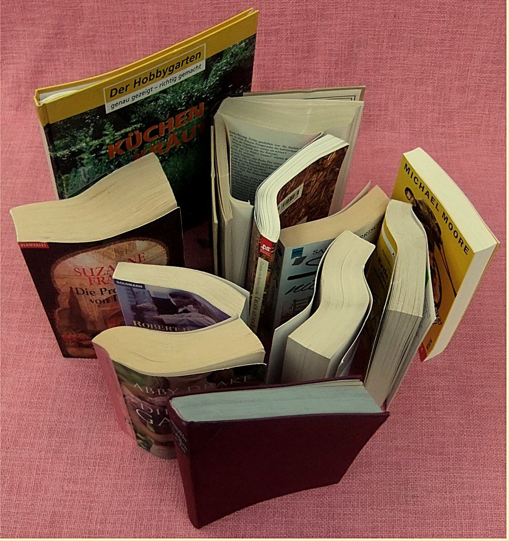 Bücherpaket mit 11 verbogenen, krummen Büchern - Die Prophetin von Luxor - Die Erde bewahren - Ein Fremder im Spiegel - Die gute Gattin