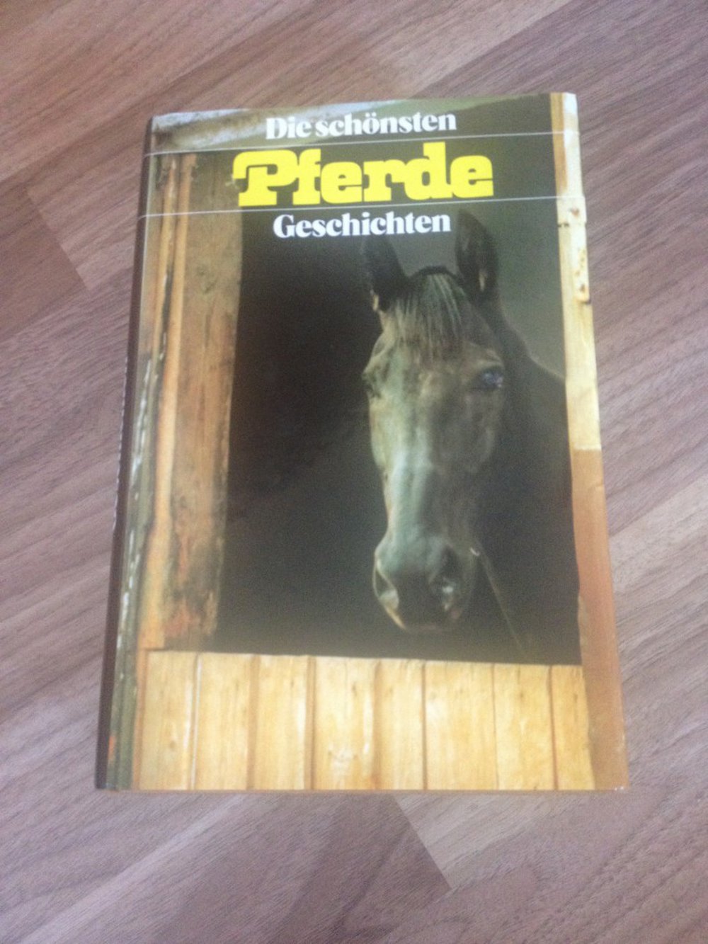 Die schönsten Pferde Geschichten