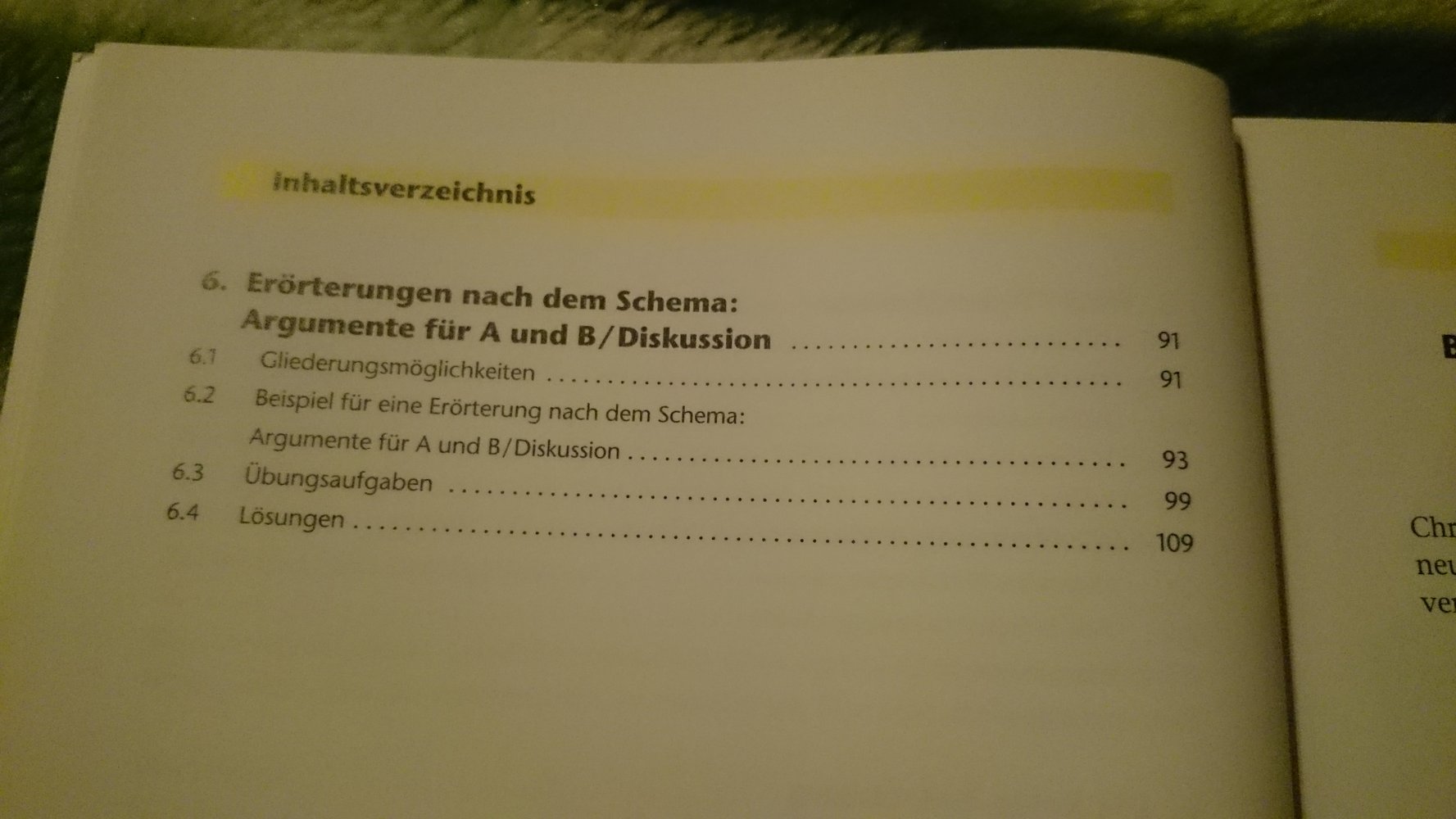 Aufsatz/ Erörterung 