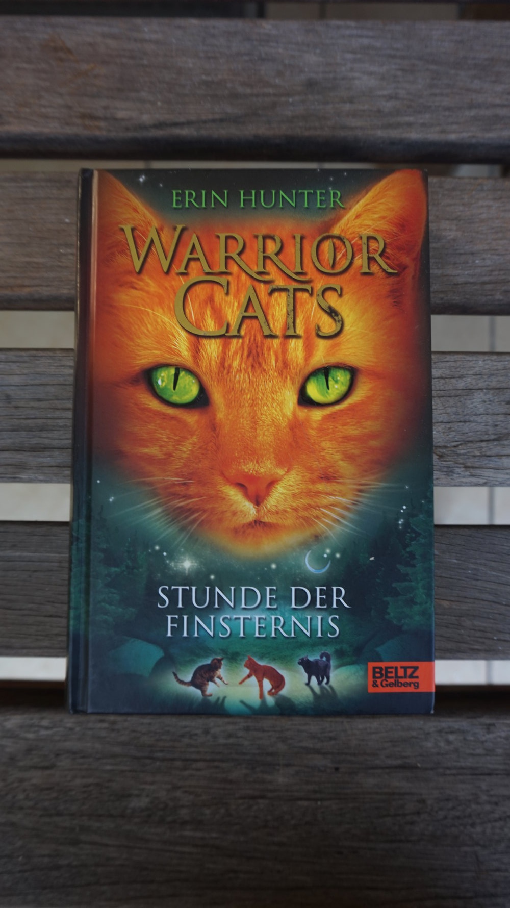 WarriorCats Staffel 1 BAND 6 