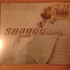 CD Shaggy