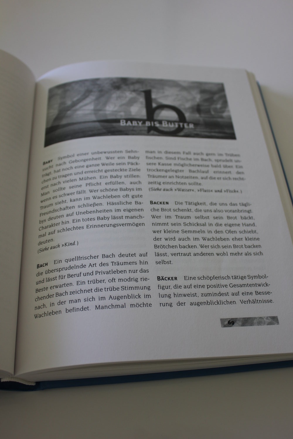 Lexikon der Traumdeutung