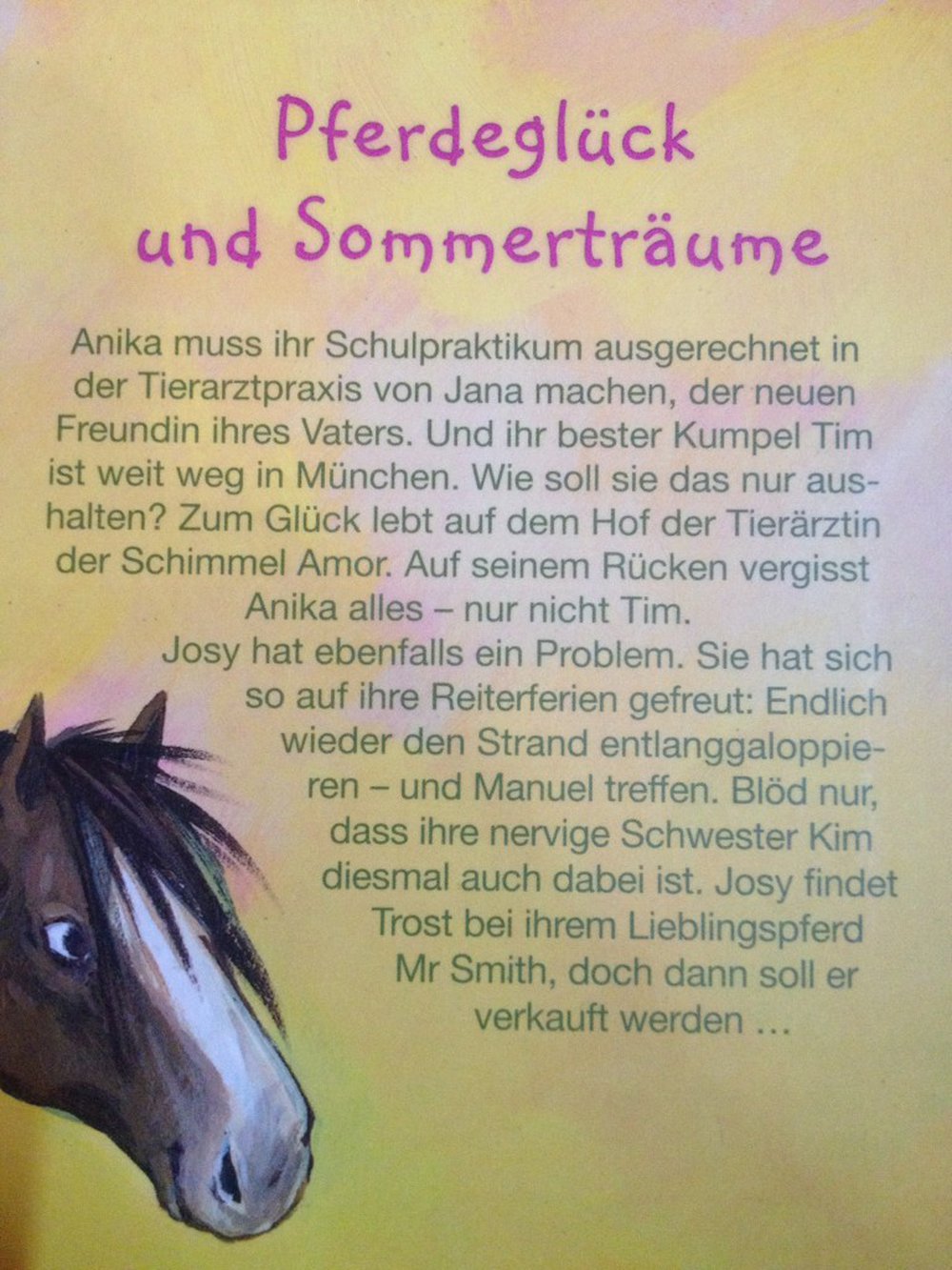 Pferdeglück und Sommerträume