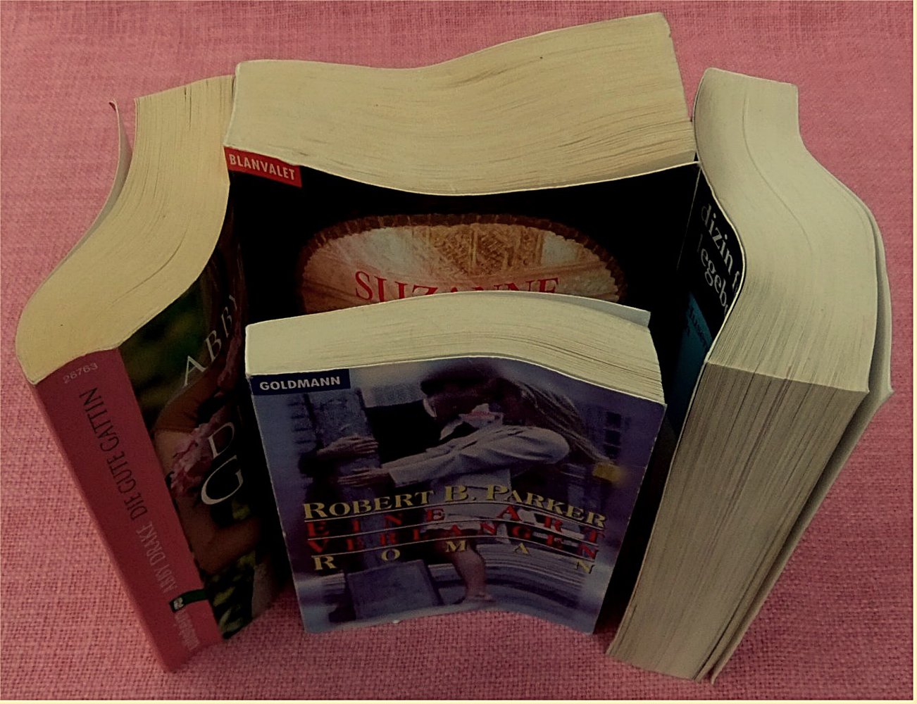 Bücherpaket mit 11 verbogenen, krummen Büchern - Die Prophetin von Luxor - Die Erde bewahren - Ein Fremder im Spiegel - Die gute Gattin