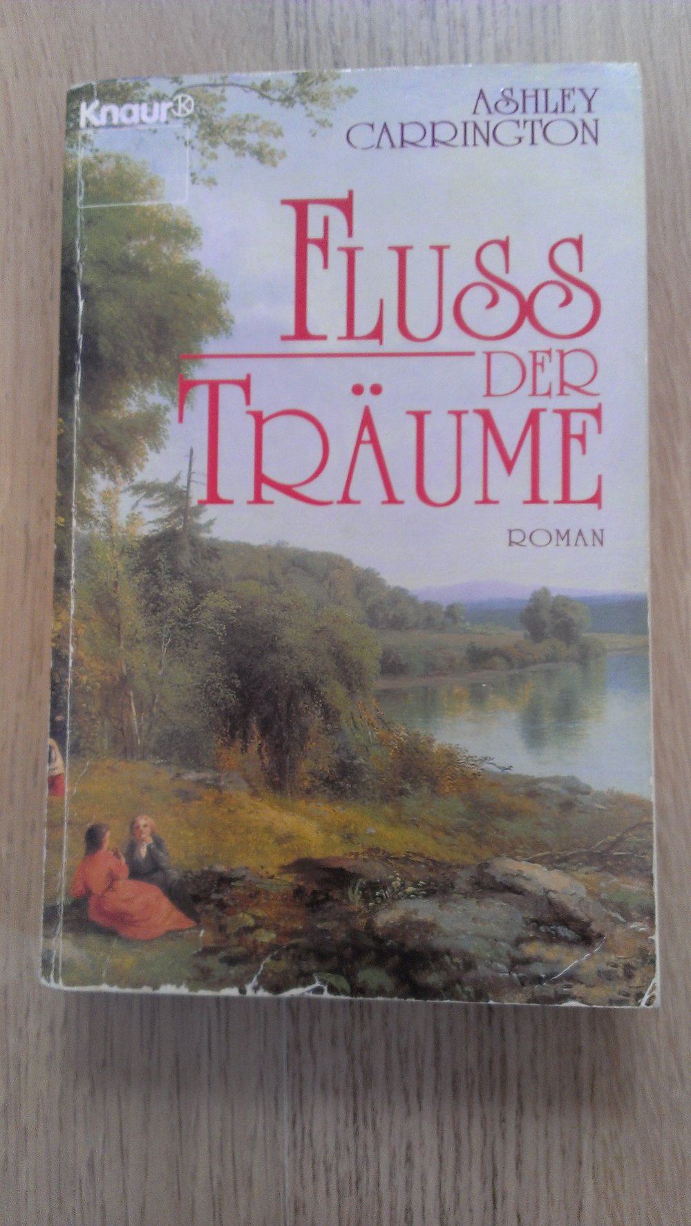 Roman Fluss der Träume von Ashley Carrington
