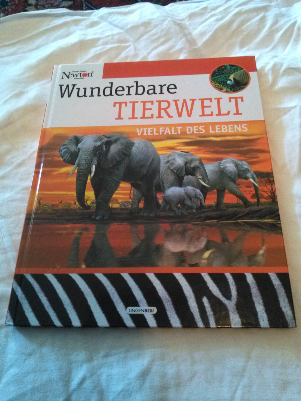 Tolles Wissensbuch ; Wunderbare Tierwelt ; Lingen Kids