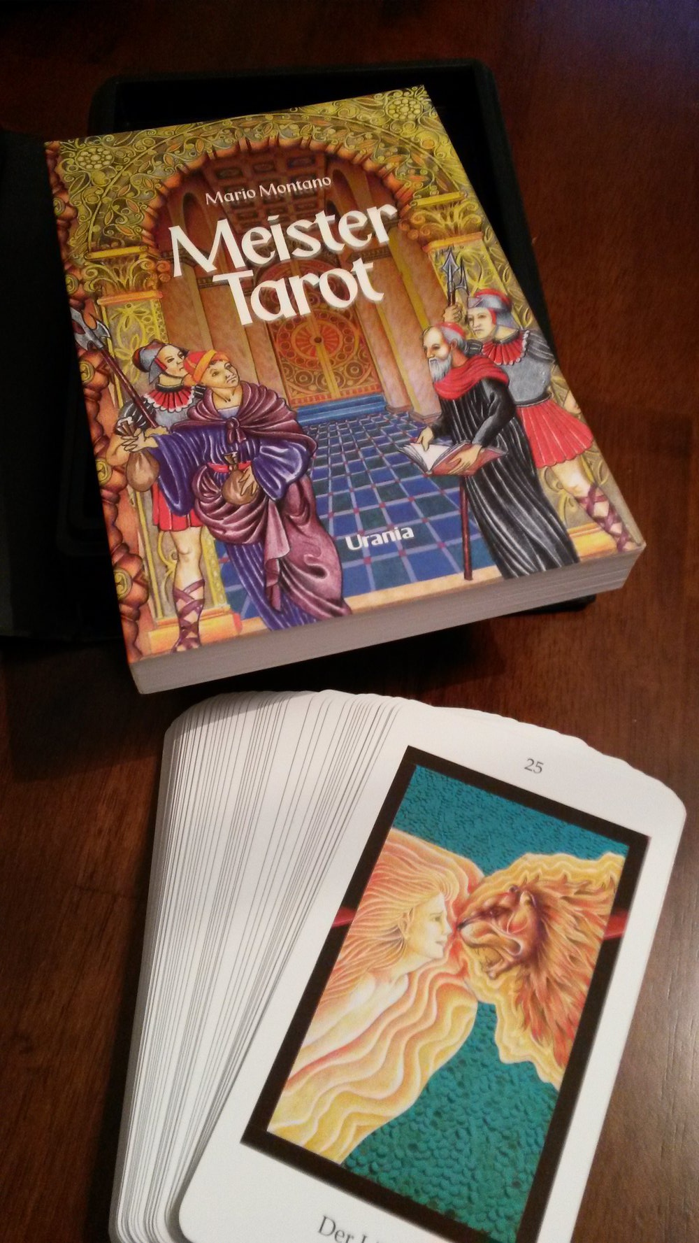 Tarot Karten + Buch
