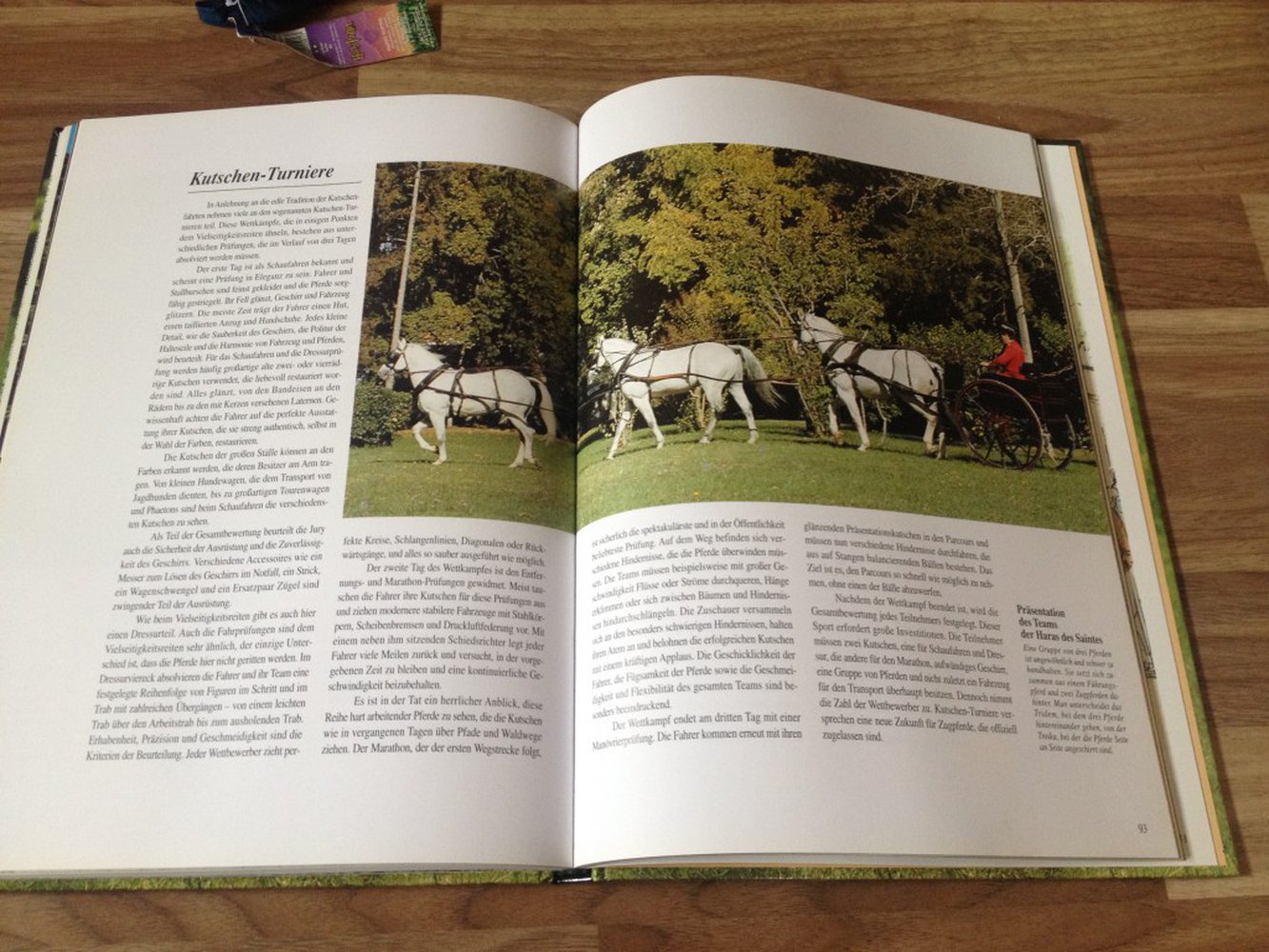 Pferde: Schönheit, Kraft und Eleganz