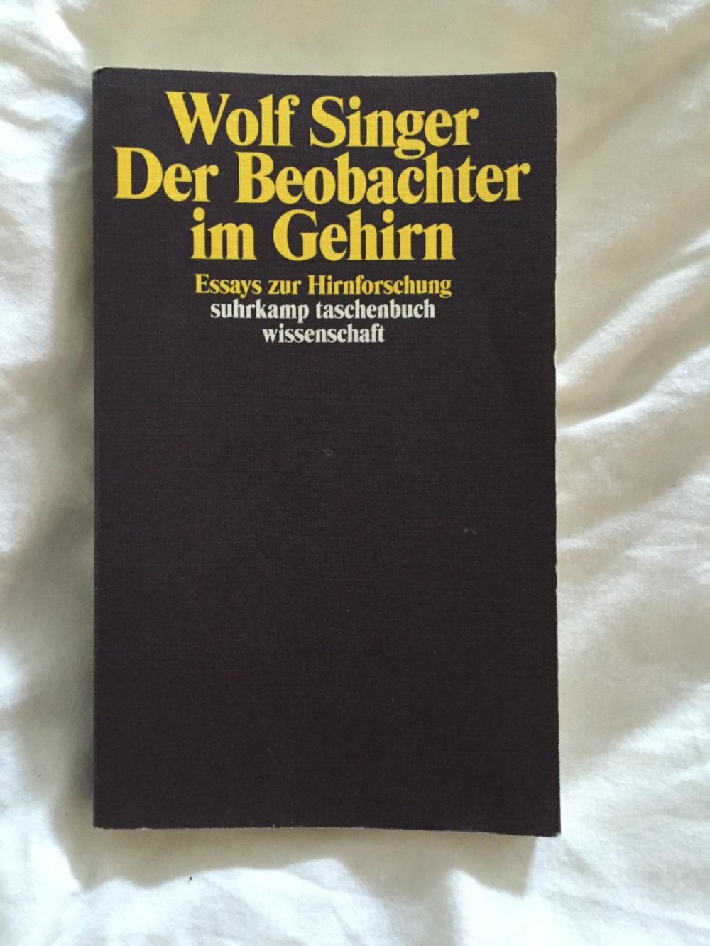 Der Beobachter im Gehirn Wolf Singer Buch Wissenschaft
