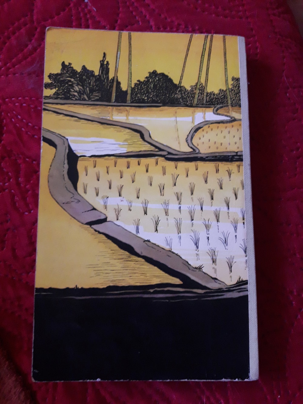 Das Mädchen von Saigon