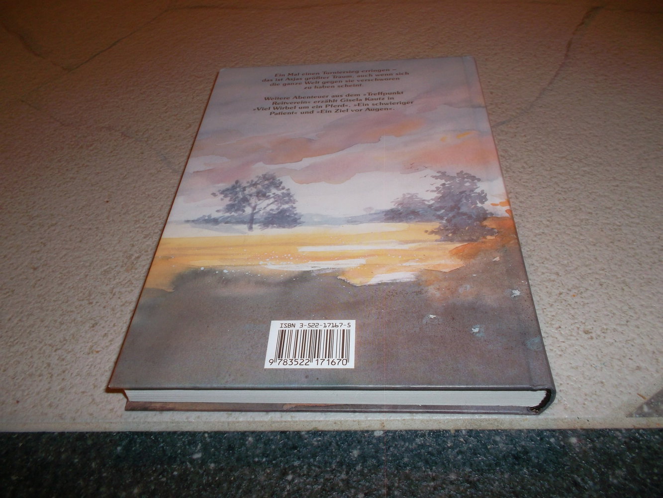 buch,gisela,kautz,der tuniersieg