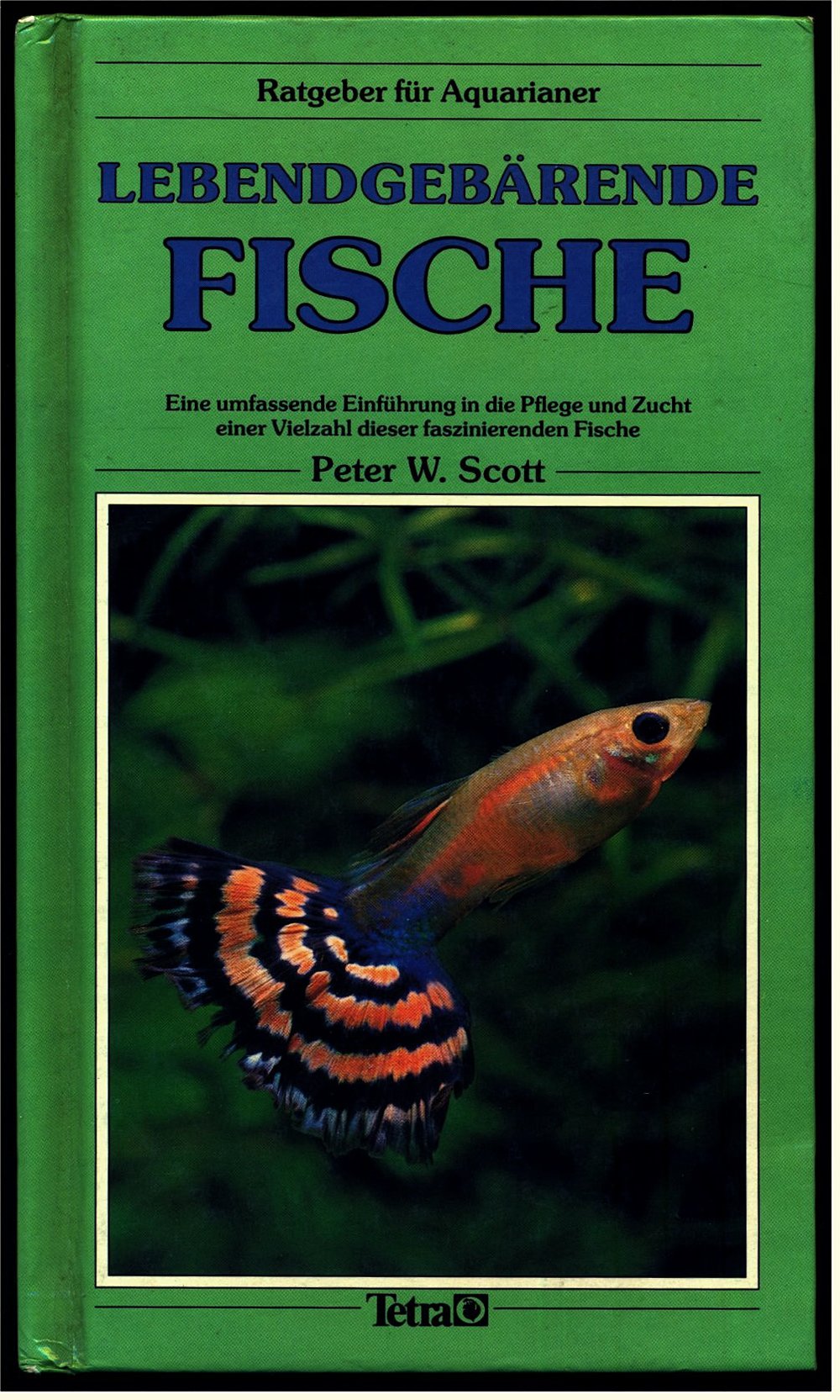Lebendgebärende Fische - Pflege und Zucht