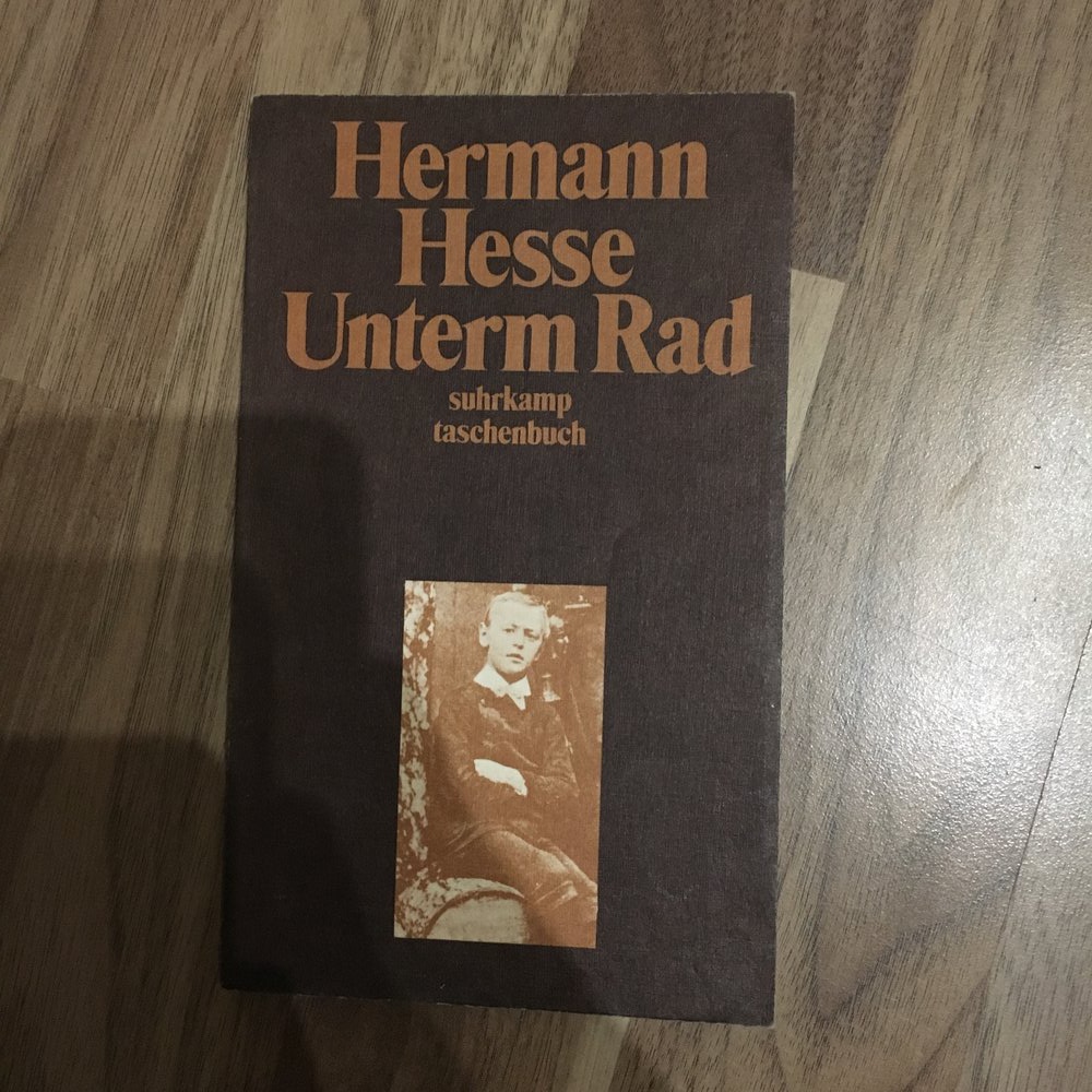 Hermann Hesse: Unterm Rad