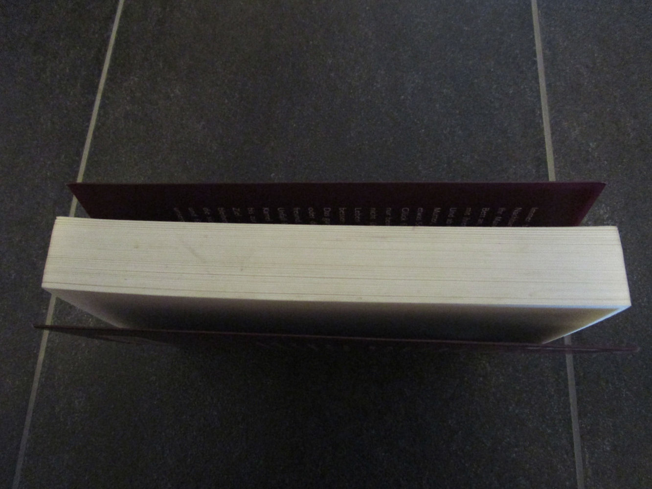 Buch Schoßgebete von Charlotte Roche, Verlag Piper 