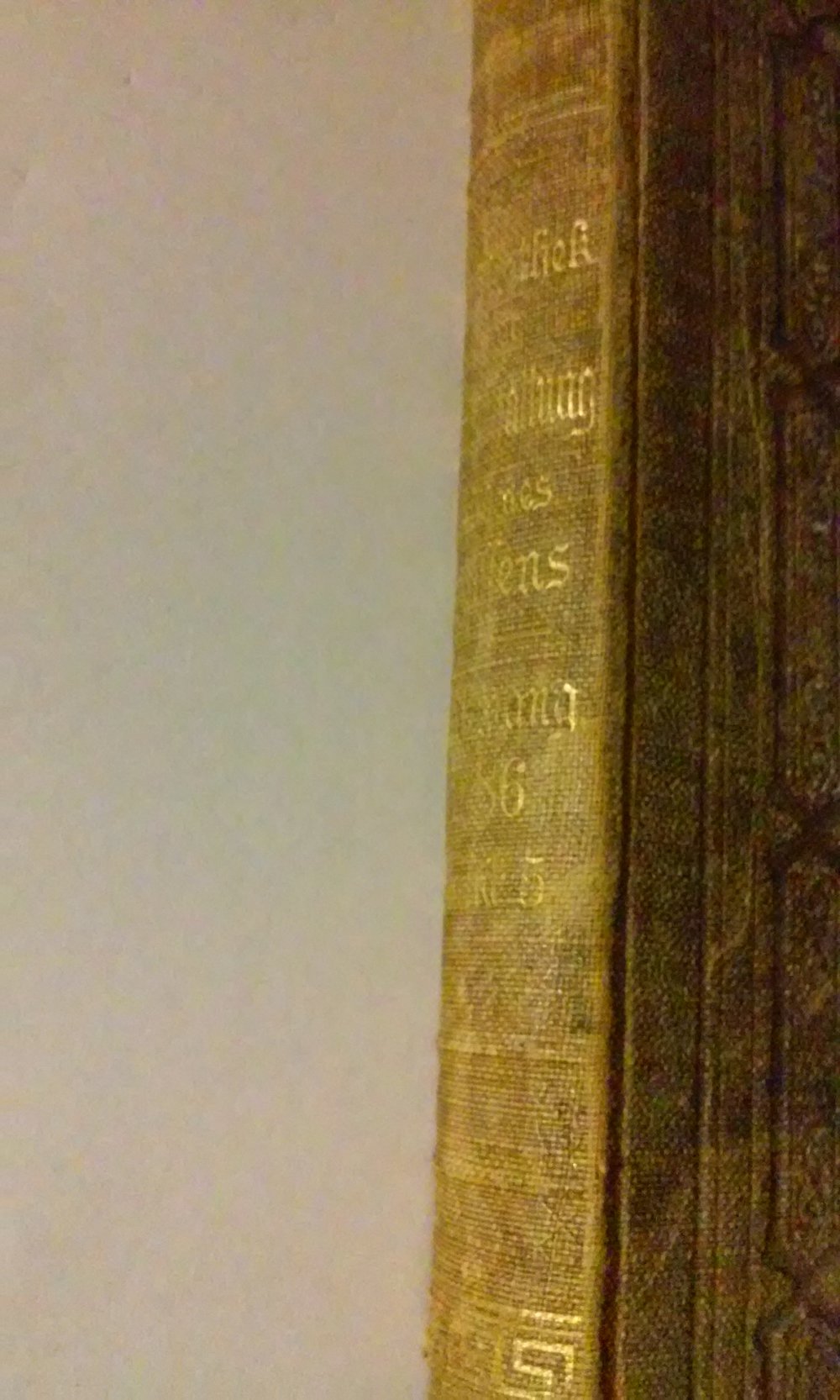 Band 5 --Rarität--antik Bibliothek der Unterhaltung und des Wissens 1886 