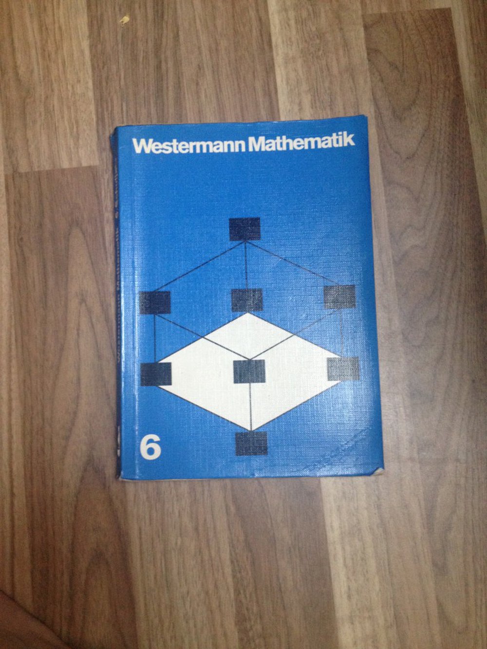 Westermann Mathematik für differenzierenden Unterricht 6. Schuljahr